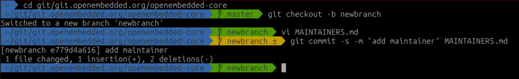 Screenshot of a terminal with the Oh My Zsh plugin. The prompt is modified to show the current working directory and the current git branch.